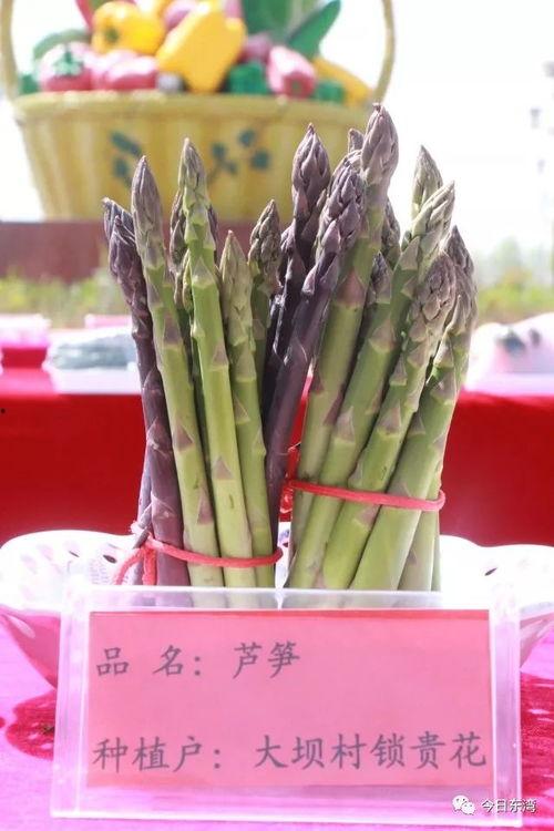 五一假期群众吃瓜视频 五一假期群众吃瓜视频