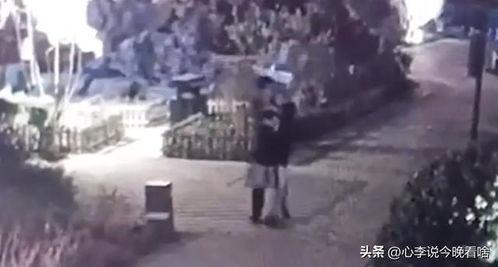 吃真瓜视频完整版,一场视觉与味觉的双重盛宴 吃真瓜视频完整版,一场视觉与味觉的双重盛宴