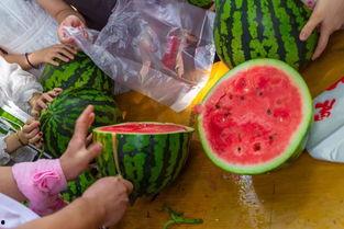 吃瓜的工作视频,工作视频中的趣味瞬间