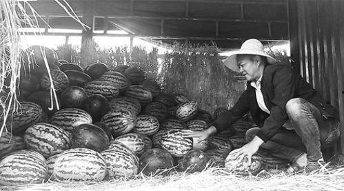 八十年代吃瓜群众视频,吃瓜群众的视觉盛宴