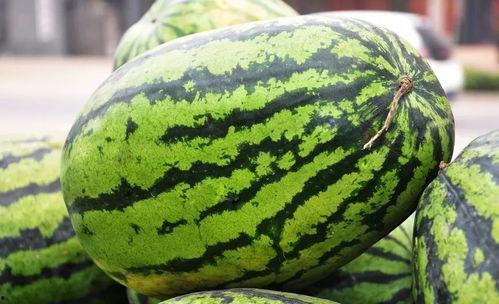 暖心的吃瓜视频,吃瓜视频中的温馨瞬间