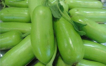 蒲瓜不去籽可以吃吗视频,揭秘食用蒲瓜的奥秘